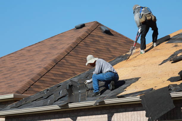 Best Cold Roofs  in Waynesburg, PA